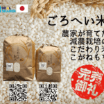 【Esgotado graças e adição de estoque】 10 kg de arroz branco novo foram vendidos, mas o comerciante adicionou mais estoque