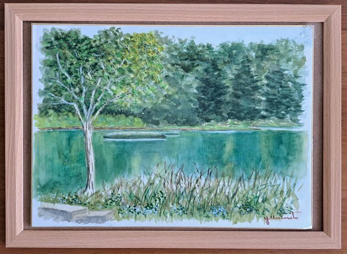 額装された風景水彩画は、利尻島姫沼の湖畔の風景を描いており、前景に一本の木があり、海岸沿いに背の高い草が茂り、背景には水を横切る緑の木々が茂っています。.