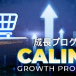Conheça o programa CALINA: Tributo e uma promessa firme